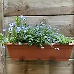 Einliegerwohnung Mit Wintergarten *