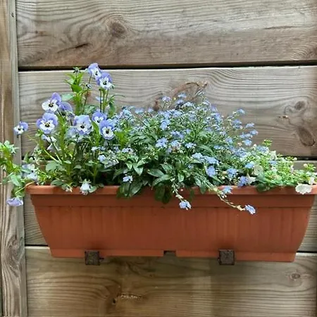 Einliegerwohnung Mit Wintergarten *